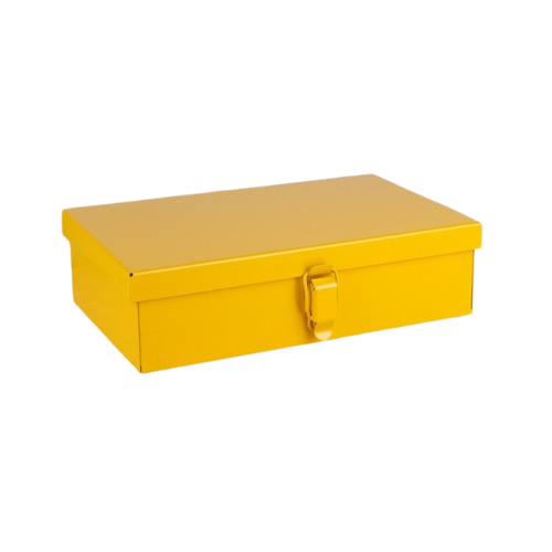Small Case  - Yellow