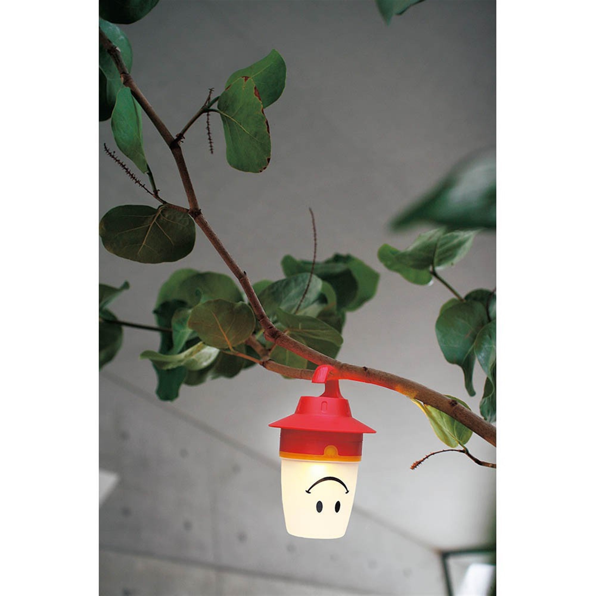 ***PRE ORDER*** Smile Lantern - Hibiscus